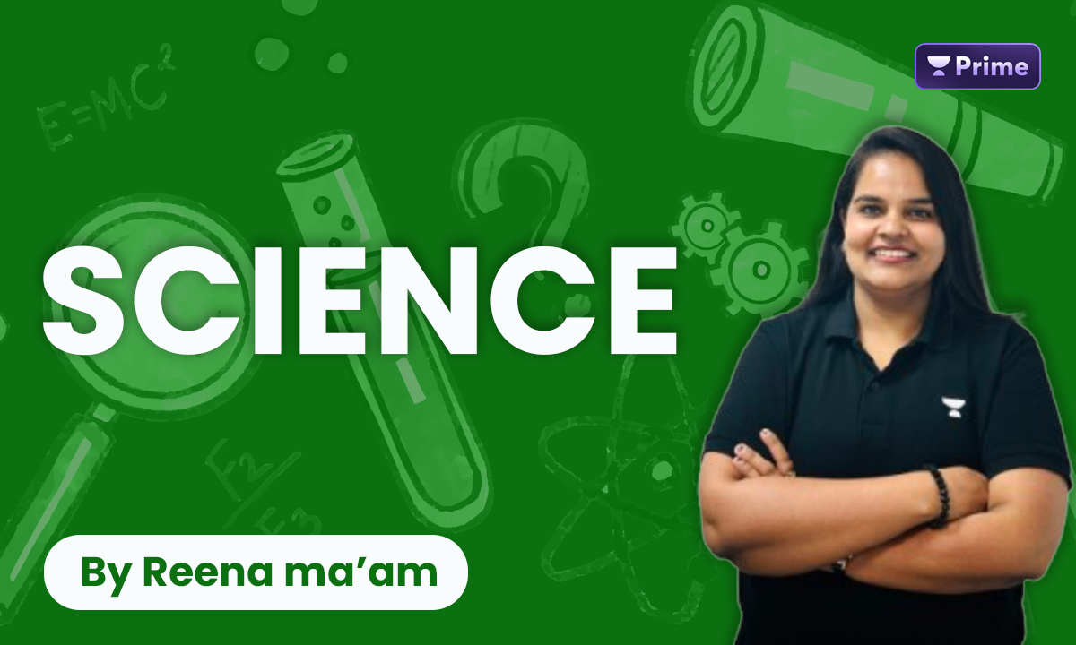 Class 6 Complete Science