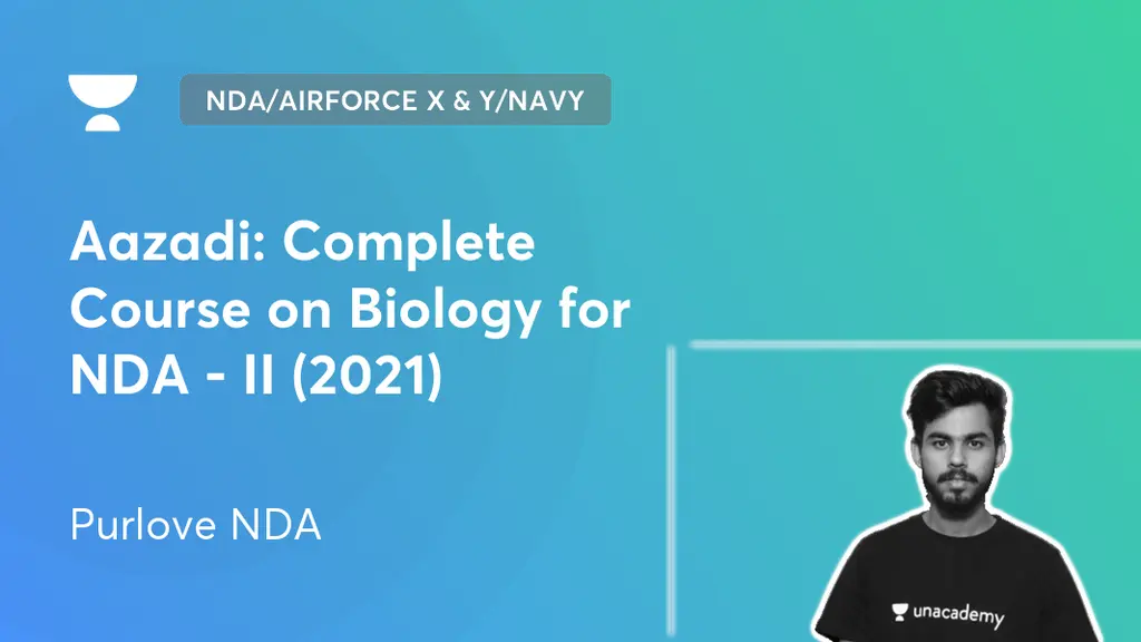 Food and nutrition essay 300 words picture