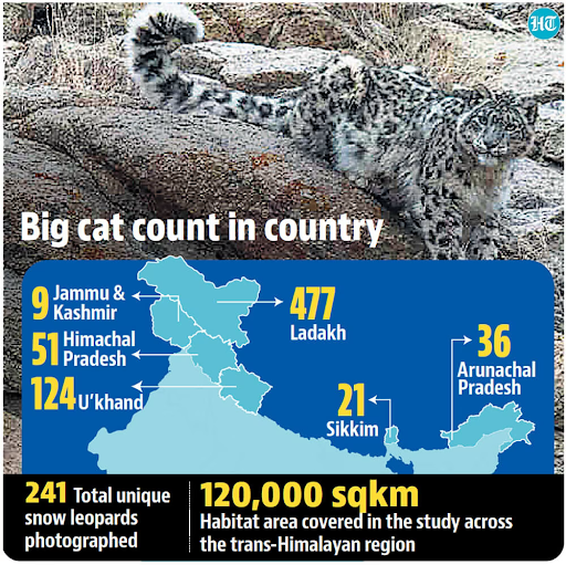 Snow Leopard Population Assessment in India (SPAI) Program : 6 Feb